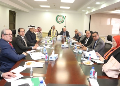 "لجنة فلسطين بالبرلمان العربي" تبحث تطورات الأوضاع في الأرض الفلسطينية
