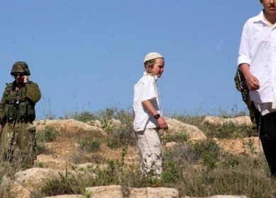 مستوطنون يهاجمون أرضا زراعية في منطقة المعرجات غرب أريحا