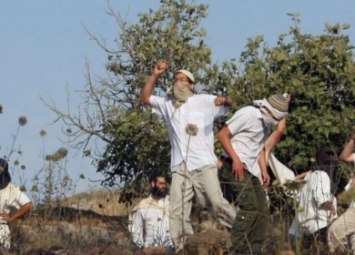 مستوطنون يعتدون على المواطنين في منطقة عين الحلوة بالأغوار الشمالية