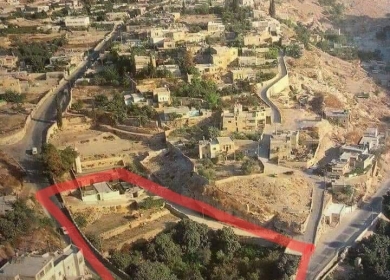 القدس: مستوطنون يستولون على 5 دونمات في واد حلوة والاحتلال يعتقل ثلاثة شبان