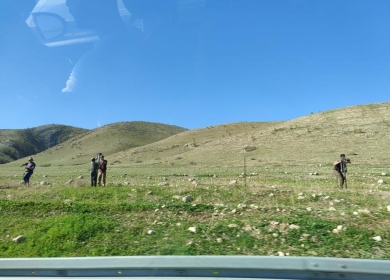 مستوطنون يستولون على أرض في الأغوار الشمالية