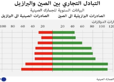 الرئيس البرازيلي ينتقد صندوق النقد الدولي وهيمنة الدولار على معاملات التجارة الدولية