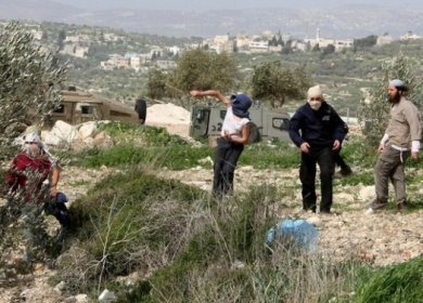 إصابة طفل في اعتداء للمستوطنين بمسافر يطا