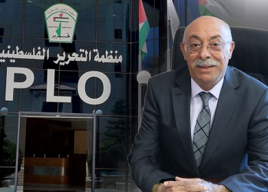 عرنكي: على المجتمع الدولي محاسبة إسرائيل على جرائمها والعمل الجاد لوقف الابادة في غزة