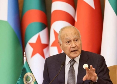 أبو الغيط: إسرائيل "أصل التوتر بالمنطقة"