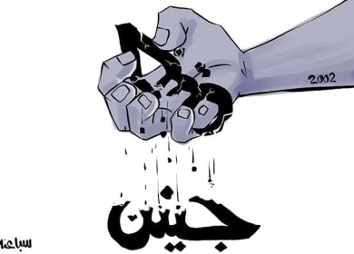 جنين ...