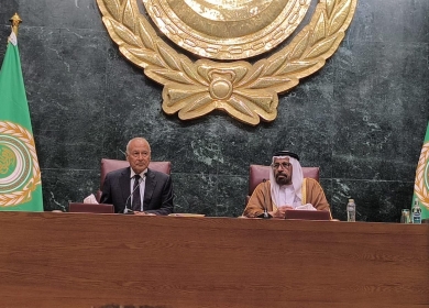 أبو الغيط: التحرك العربي سيركز على وقف حرب الإبادة والحفاظ على مشروع الدولة الفلسطينية