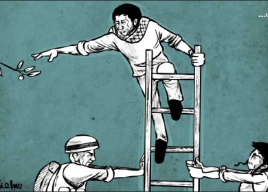 قطف الزيتون ...