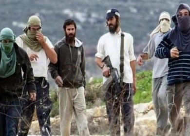 مستعمرون يهاجمون منازل المواطنين في منطقة "خلايل اللوز" ببيت لحم