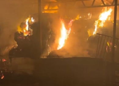 مستعمرون يحرقون حظيرة أغنام وفرن طابون ويصيبون صاحبها بحروق جنوب الخليل