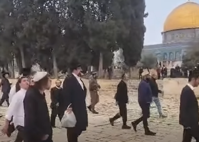 مستعمرون يقتحمون "الأقصى" وسط تمديد غير مسبوق لساعات الاقتحام