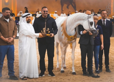 الخيول الفلسطينية تحقق إنجازا رياضيا في بطولة دبي الدولية للجواد العربي 2026