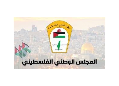 المجلس الوطني: ما يتعرض له الأطفال في فلسطين يمثل انتهاكا للقانون الدولي الإنساني