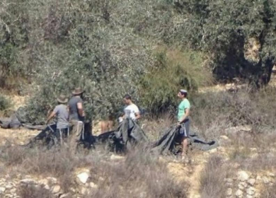 مستوطنون يسرقون مستلزمات زراعية في قرية كيسان شرق بيت لحم
